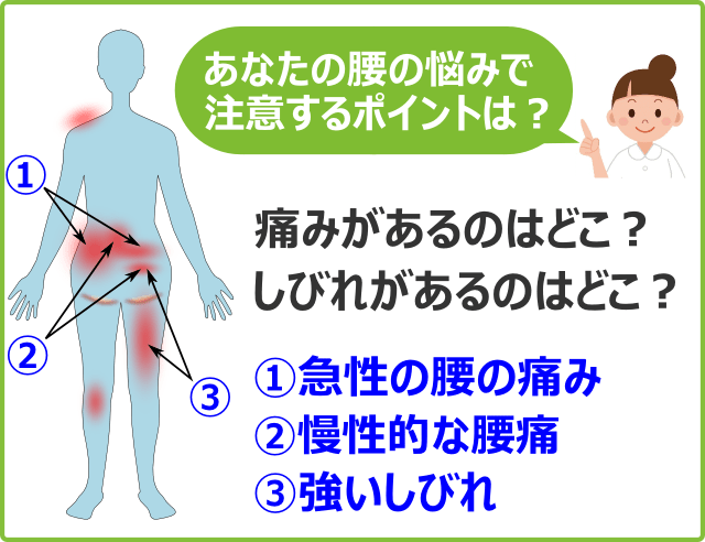 あなたの腰の悩みで注意するポイントはどこ？