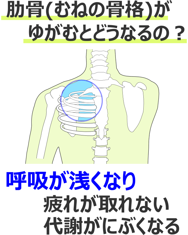 肋骨(胸の骨格)がゆがむとどうなるの?