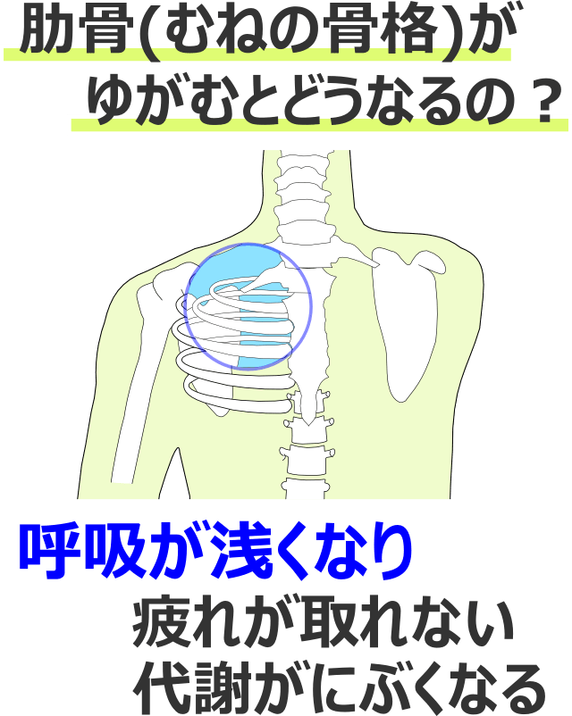 肋骨（胸の骨格）がゆがむとどうなるの？