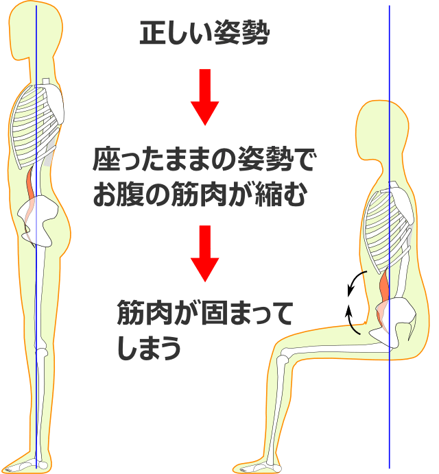 体のゆがみの過程1